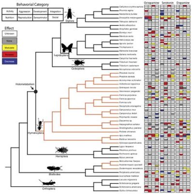  Ypsilophorus! Der winzige Meister der Regeneration mit überraschend komplexem Sozialverhalten